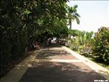 Parque de las Palomas - SAN JUAN